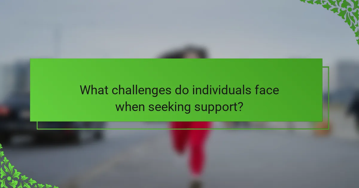 What challenges do individuals face when seeking support?
