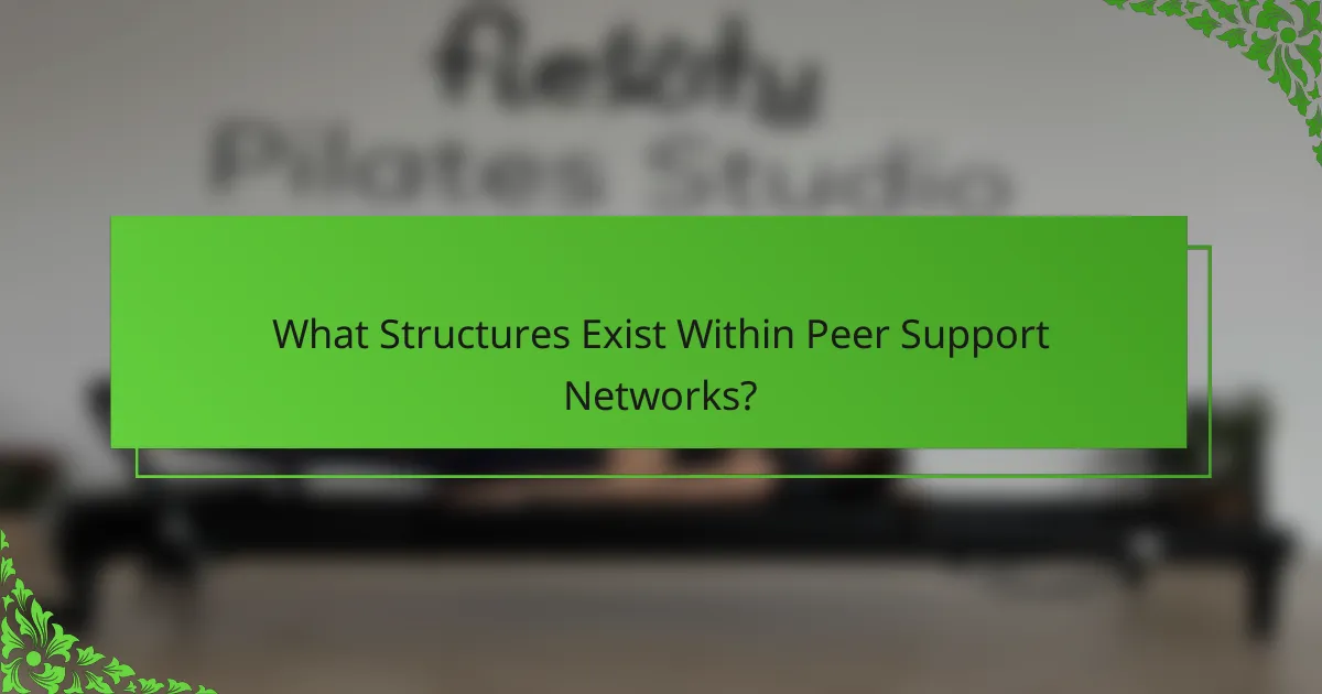 What Structures Exist Within Peer Support Networks?